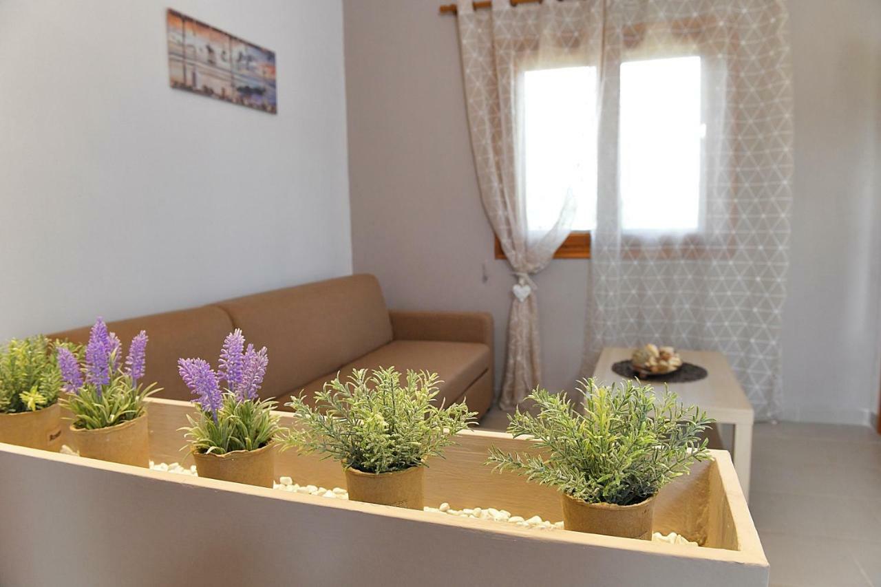 Elaionas Apt. プサコウディア エクステリア 写真
